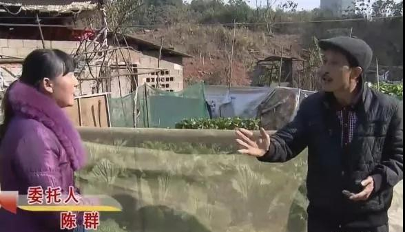蜗牛研究僧|60岁老汉和37岁女子同居，不料妻子却上门滋事，两女抢一夫图什么？