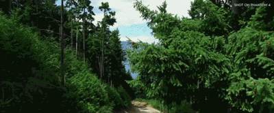 TCL|DJI 精灵 4 系列|机器视觉时代