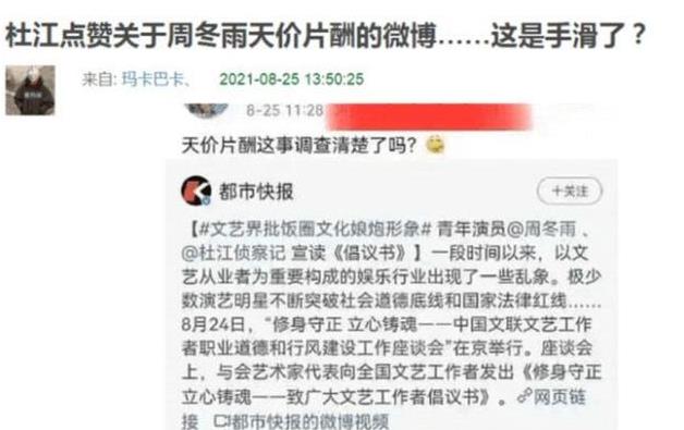 为你好而已|天价片酬谁来买单？揭露娱圈资本运作，孙俪刘涛或成突破口