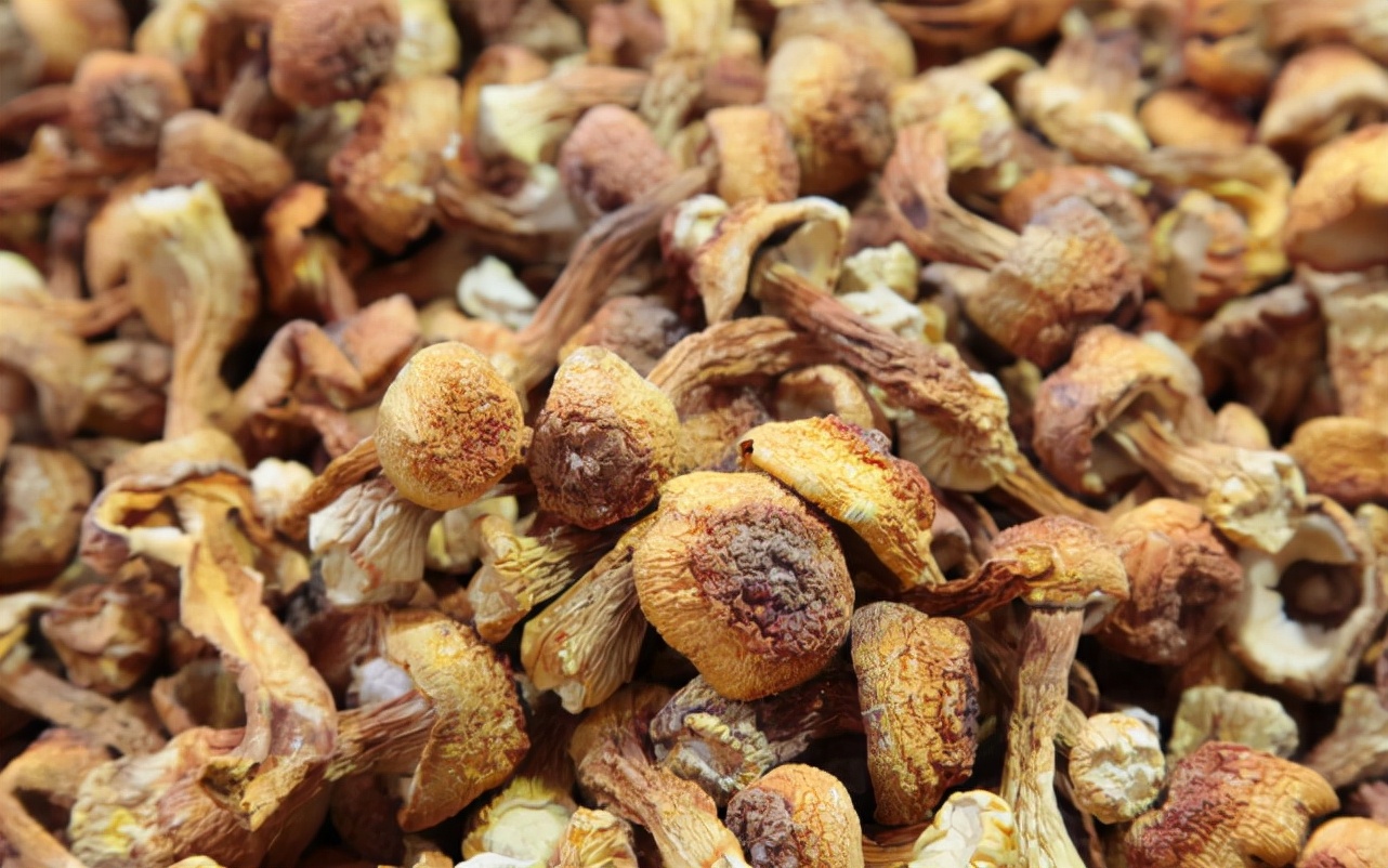 肾病|肝科医生提醒：身上这2处发痒，或是肝在“求救”！别等肝癌找上门