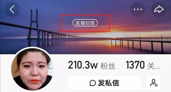 李佳琦|“顶流网红”被封杀，李佳琦：纵欲的样子真丑！