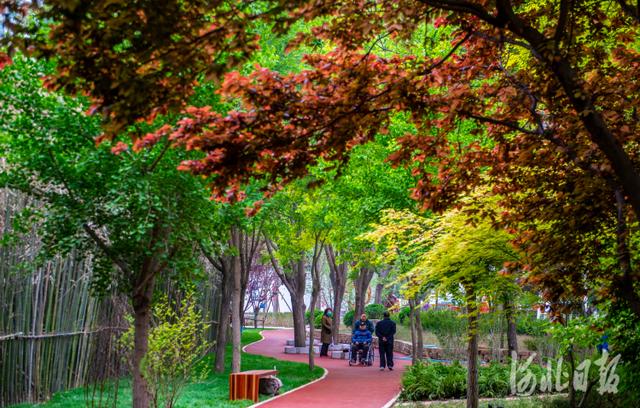 河北新闻网 河北石家庄：游园换新颜