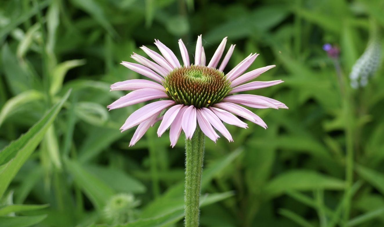 生肖夜读 10月底，生活有盼头，事业有出头，3生肖贵人多，好运来，腰包鼓鼓