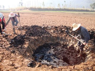 金凤说趣闻|男子家里挖井，打伤了一条黑蛇，第二天，男子下井时发生意外