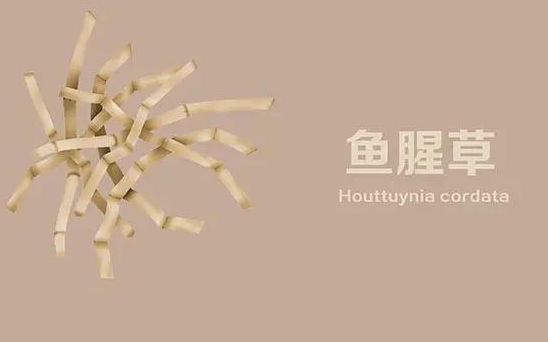 医生|肺不好，经常吃点养肺菜，多喝2种水，对你肺有好处