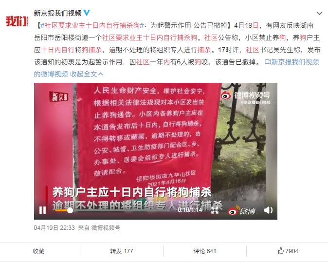 律政时代法律在线 怕狗人士请集合！五一假期遛狗不拴绳，可以举报违法啦！