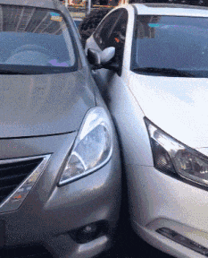 动物庄园|给你一个亿，让你做一天倒霉的人，你愿意吗？