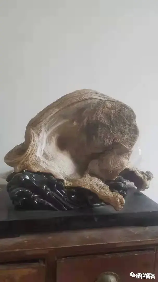 设计师|太行崖柏玩久了你能得到什么呢?