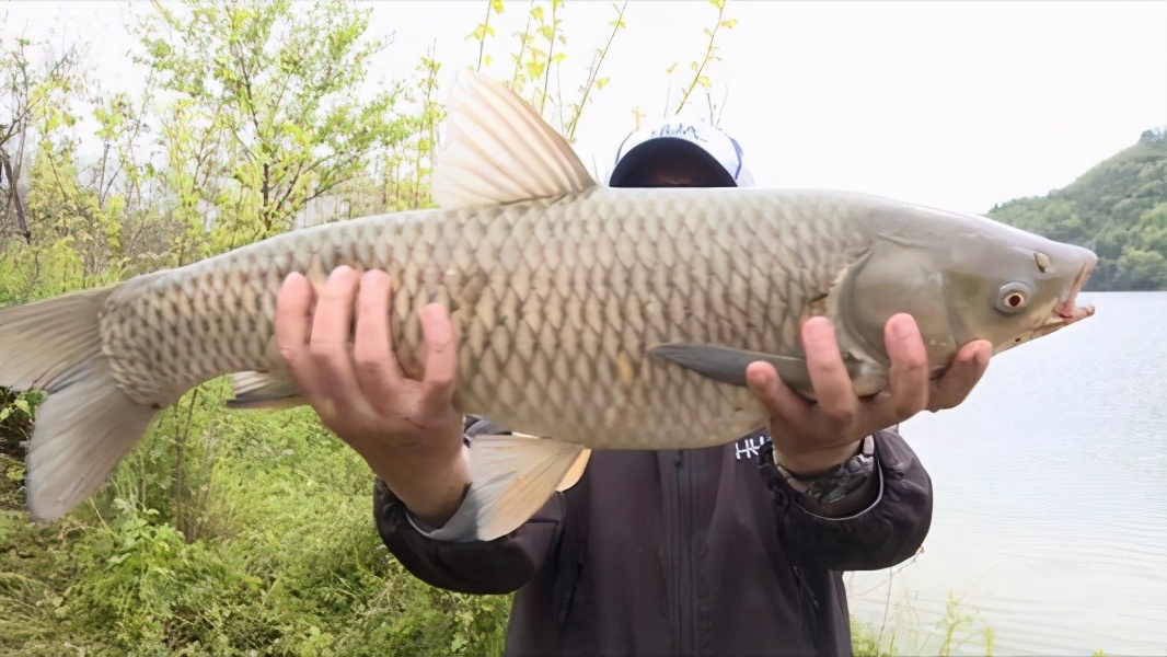 |自然水域，掌握这五个知识点轻轻松松钓大鱼