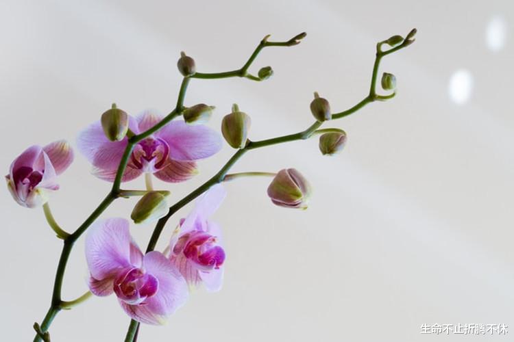 生命不止折腾不休|就你俩这关系，开口借和开口要没区别