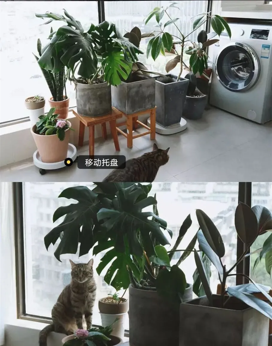 我家阳台用了4年越用越舒服,天天有人取经如何装修,必须晒晒