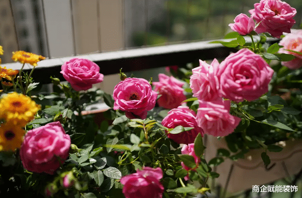 |而立之年买下89平米小屋,自己动手改造,满满的都是爱