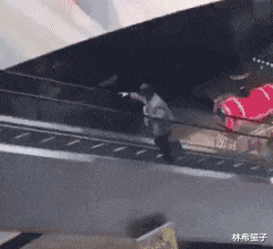 |“钓鱼钓到这玩意，还真没见过，这是啥鱼？”