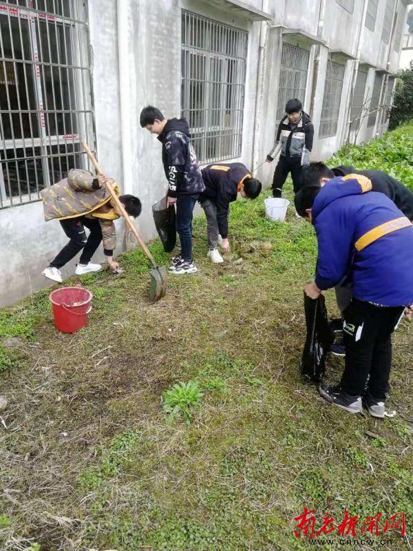 南充新闻网 龙桥小学开展学雷锋活动