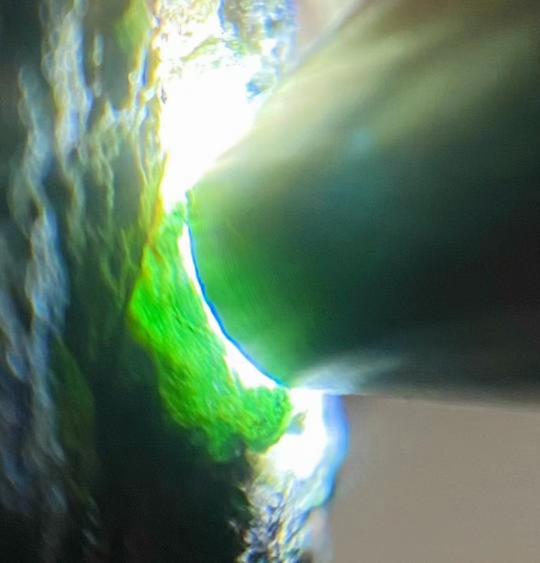 翡翠|翡翠福豆之豆蔻年华