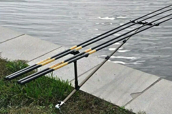 |野钓装备居然是这几样？每一样都不可缺少