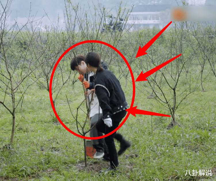 杨紫|杨紫与张艺兴被传恋情绯闻，录综艺却丝毫不避嫌，睡裤是情侣装吗