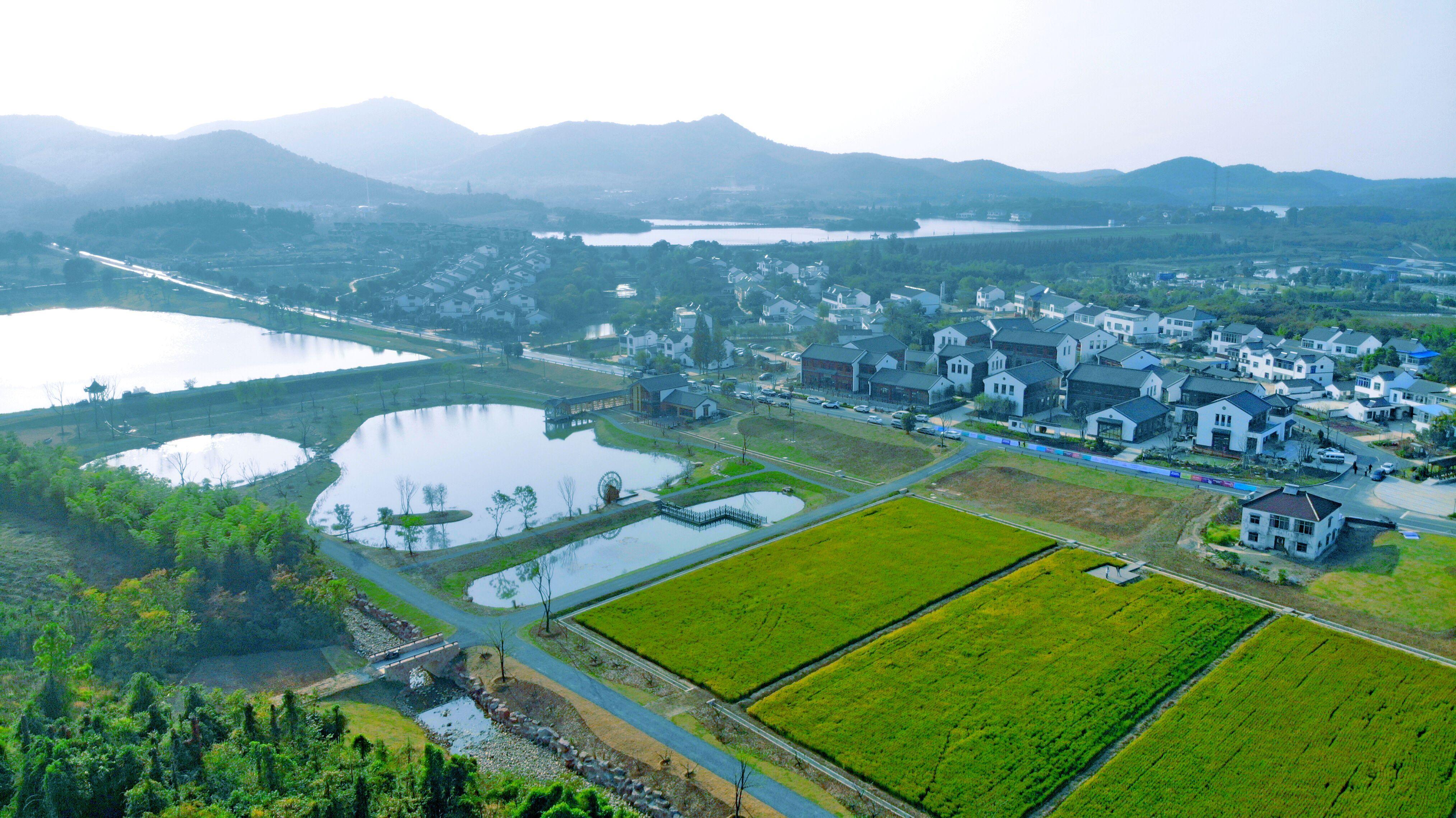 大话三农八卦 2021年，农民的出路来了，三类人迎喜讯，一类人将受处罚