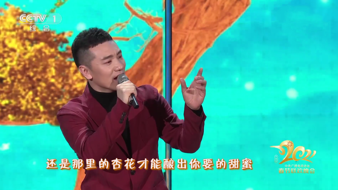 骆文博|央视春晚王琪为骆文博“做嫁衣”，明明是唱歌，注意力被舞者吸引