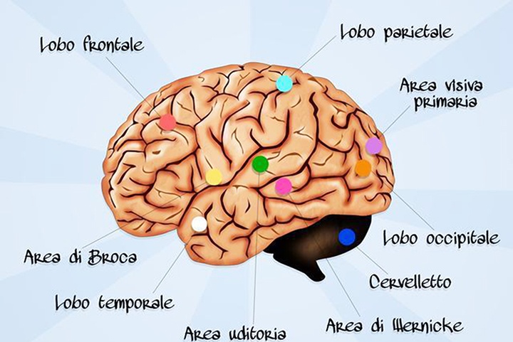 凝妈悟语|最容易被忽视的动手能力，却事关孩子的大脑发育，采取有效行动吧