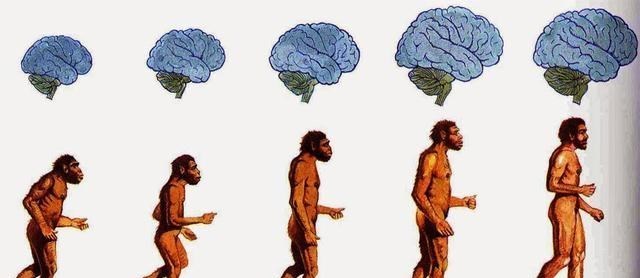人死后去了什么地方,人死后仍会有意识,大脑会继续运行?