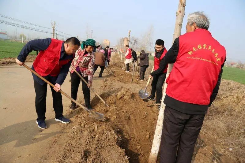 郓城县广播电视台 菏泽郓城：春风十里，红旗飘扬绿意浓