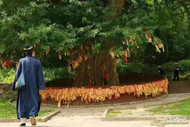 广阳杂记 济源,即便没有张书记那一巴掌,也早已名扬天下将近二千年了