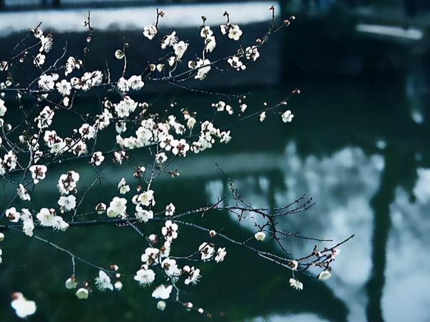 星座师安达|能成熟到摆平四方,也能快乐得像个孩子,狮子座的魅力,不简单