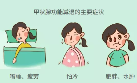 甲状腺|i甲小百科——切除甲状腺后，为什么我的身体会发生这些变化？