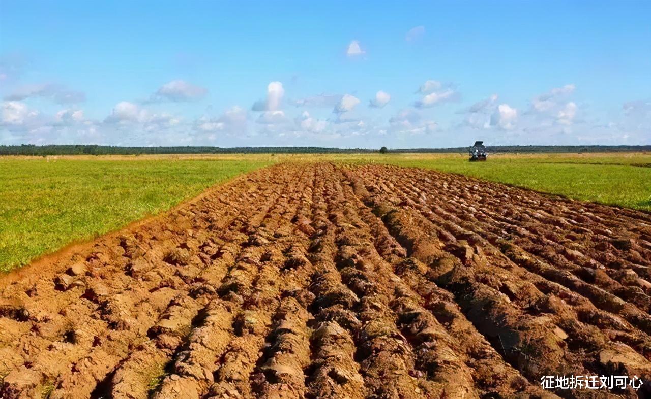 征地拆迁刘可心 2021年耕地上能不能建房，已建的房屋是违建吗？