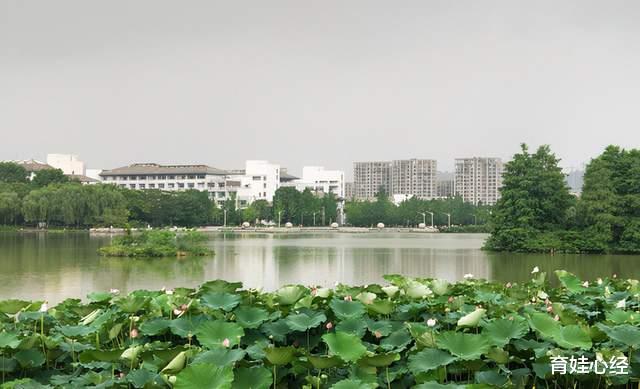 浙江省|浙江5所大学20年国家科技奖数进入我国前100：浙工大、温医大在列