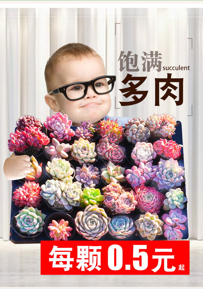 海口|一年前，买了个郊区的房子，DIY打造15㎡露台花园，太漂亮了