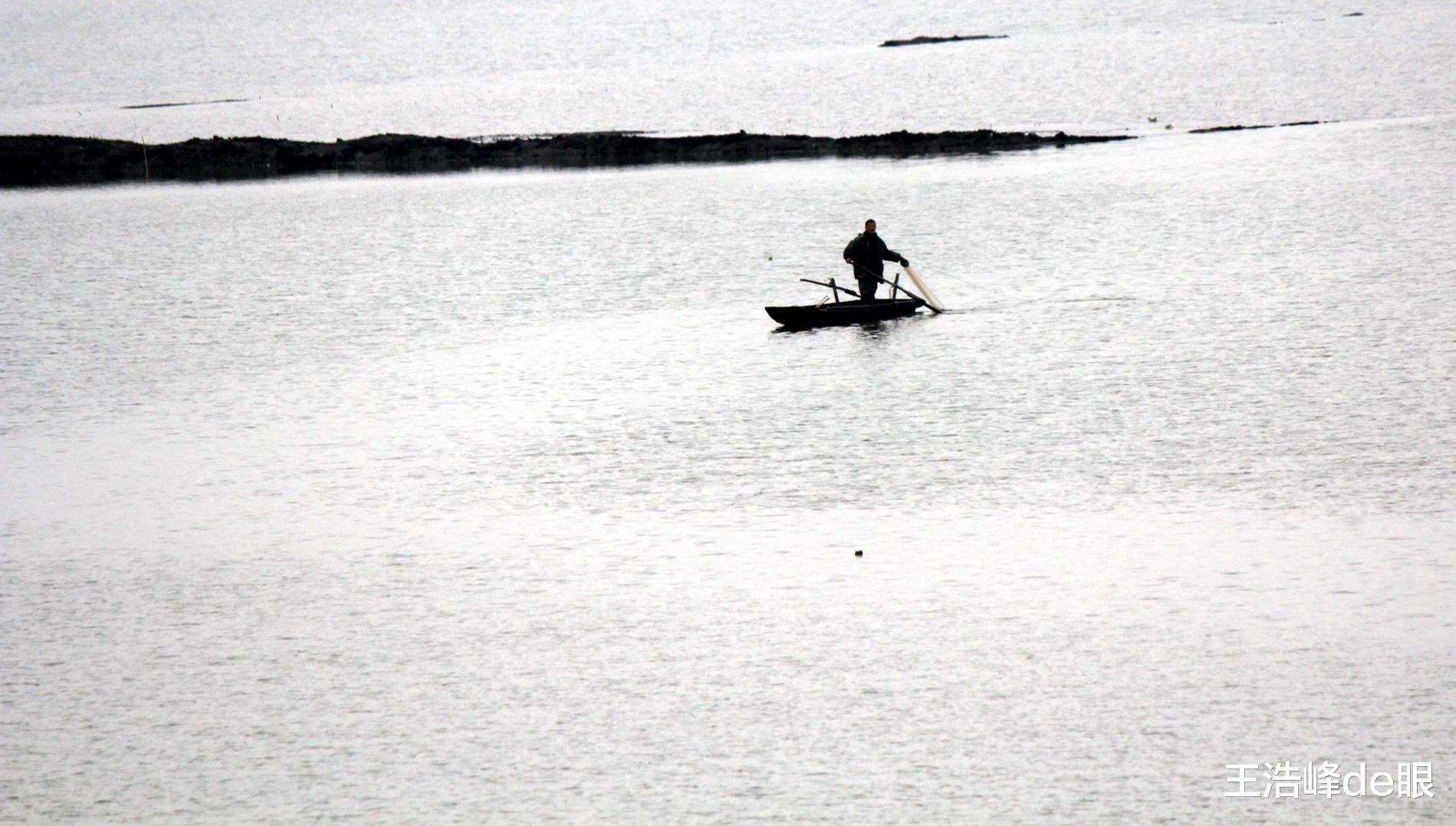 饵料|禁捕鱼咋禁的？湖北孝感河中下满网空中网直飞