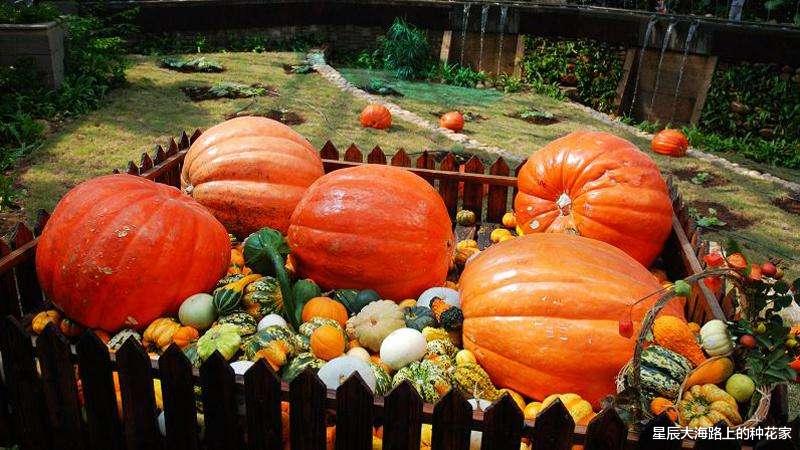 市值 太空辐射能让人基因突变甚至死亡，为什么还能让植物种子变高产？