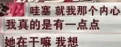 韩雪|娱乐圈那些事，“数字小姐”引刘涛不满，成龙：她是恶心的女演员