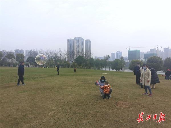 長江日報 墨水湖公園鮮花正開，未來兩個月都是賞花期