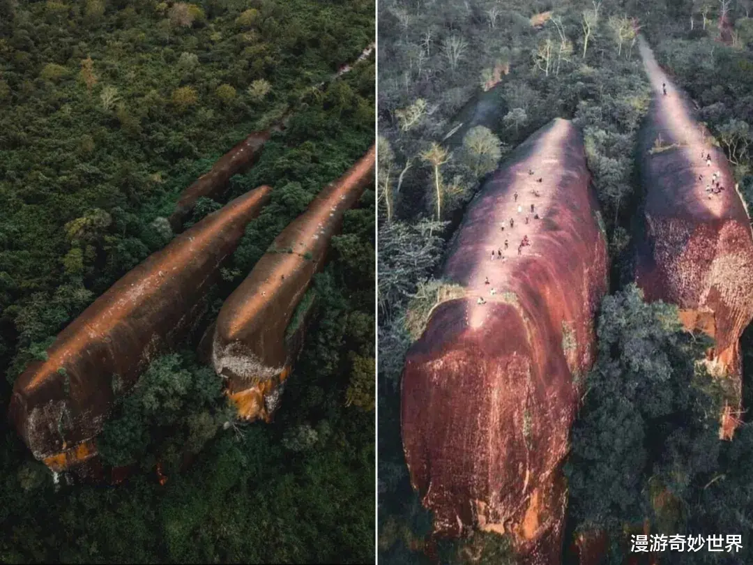外星人 “活久见”的30张图，看完姿势大涨！