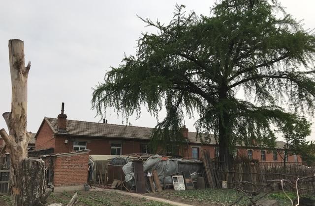 九烈or泥莉 沈阳这个小镇竟有两座火车站，其中一座已经有一百多年历史