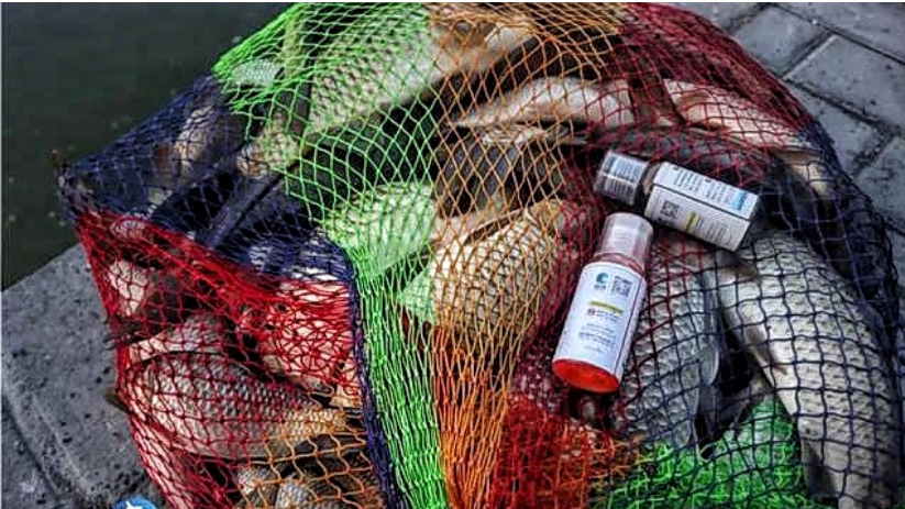 农业农村部|娱乐性垂钓将采取5大举措进行监管，农业农村部：严防钓鱼变捕捞