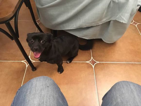 |晒一晒新家，前后花了7W，装修效果图太美，妹子都没我这么能干