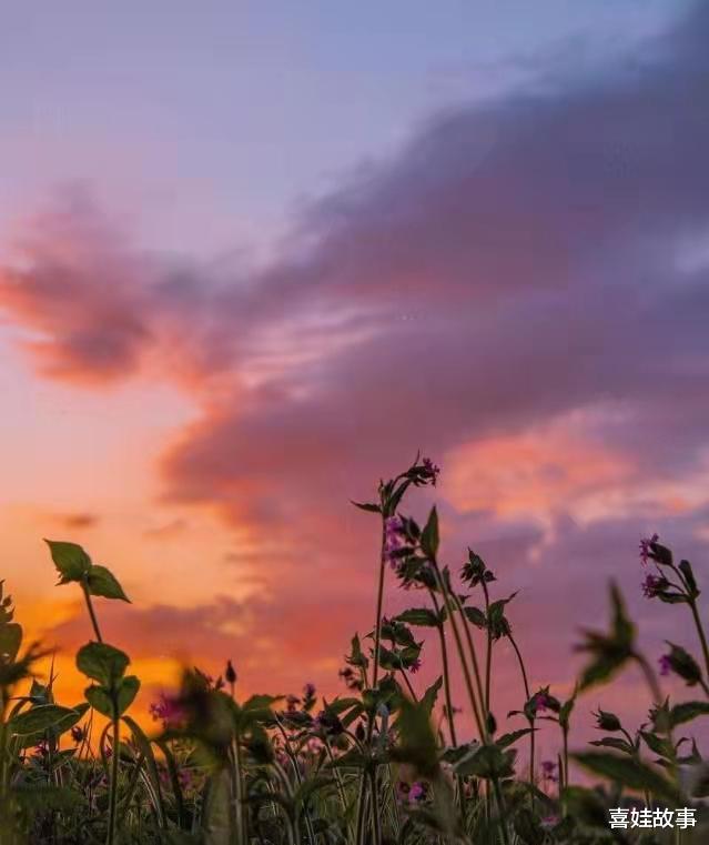 喜娃故事|女子车祸赔偿40万,回了一趟娘家只剩一万五,丈夫铁了心要离婚