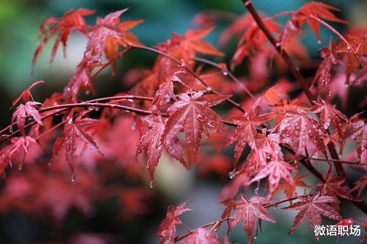 创业|长期坚持这14件事,升级你的大脑,你会变得越来越优秀