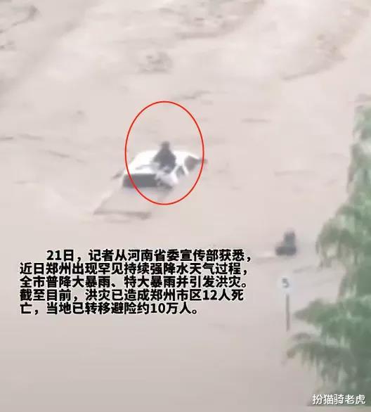 扮猫骑老虎|24小时内,450个西湖涌进郑州,我不敢看河南人的朋友圈