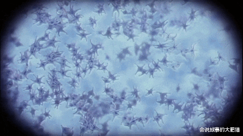 进化危机 《进化危机》史前生物图鉴 巨型食肉树吞食五彩斑斓的怪诞虫