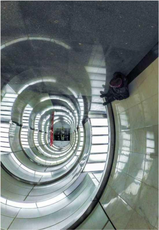 外星生物 30张“有意思”的趣图，奇怪的知识点又增加了