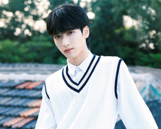 贾乃亮|16岁成唱跳爱豆，4年后参演《小敏家》，他是贾乃亮的“王牌”？