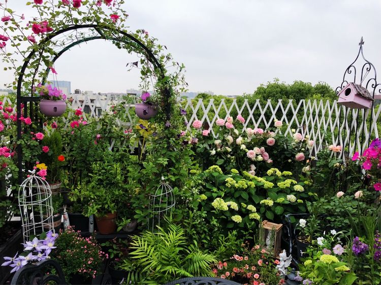 花一年多时间，改造16㎡屋顶露台，荒废屋顶变身“空中小花园”