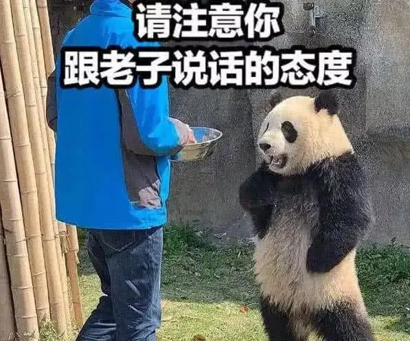 中国男篮|重磅！中国男篮16人名单公布！赵睿终于回来！他成为最大遗憾