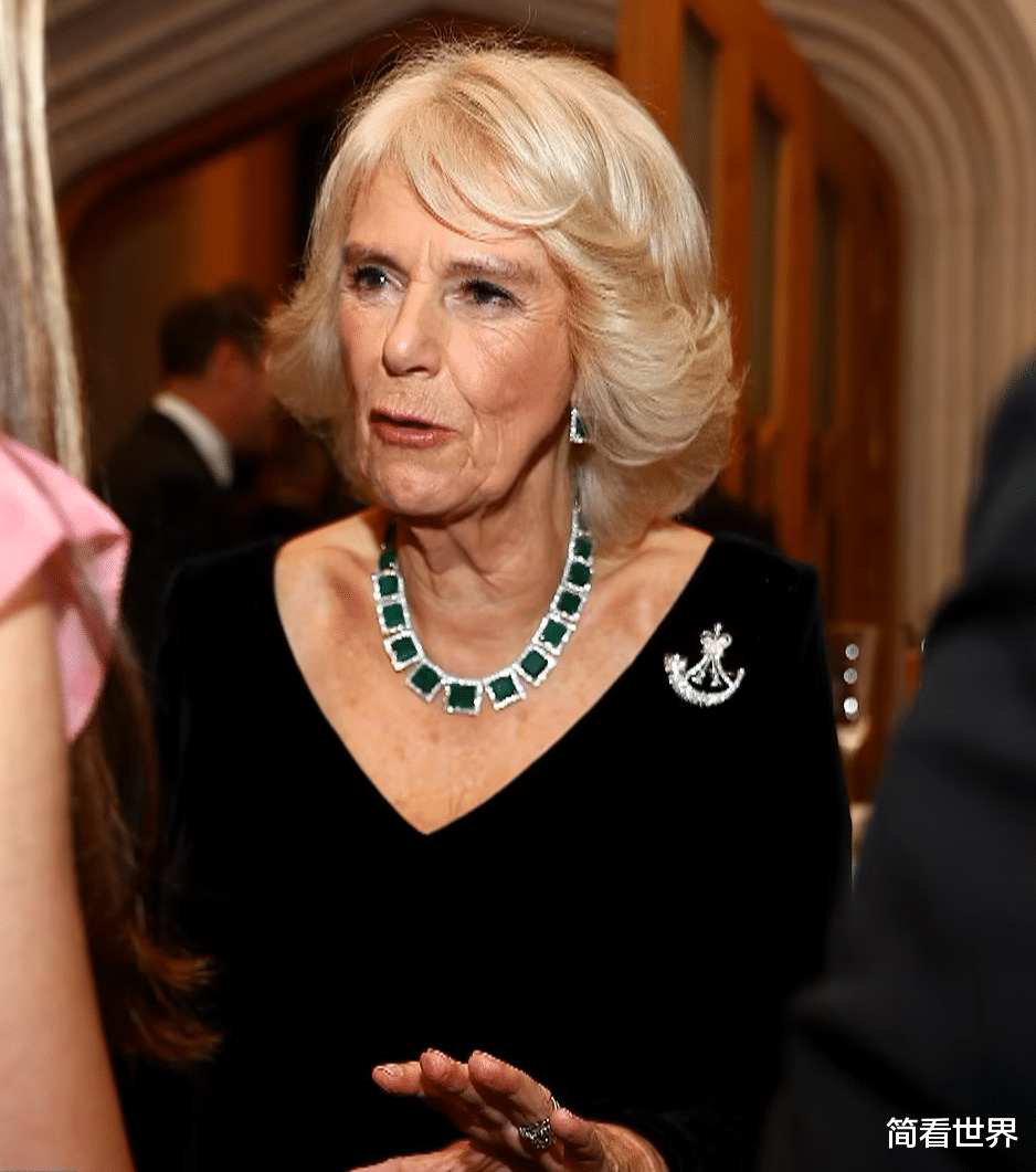 孙莉|卡米拉惨遭抢风头!女王最疼爱的小儿媳苏菲盛装出席,光芒四射