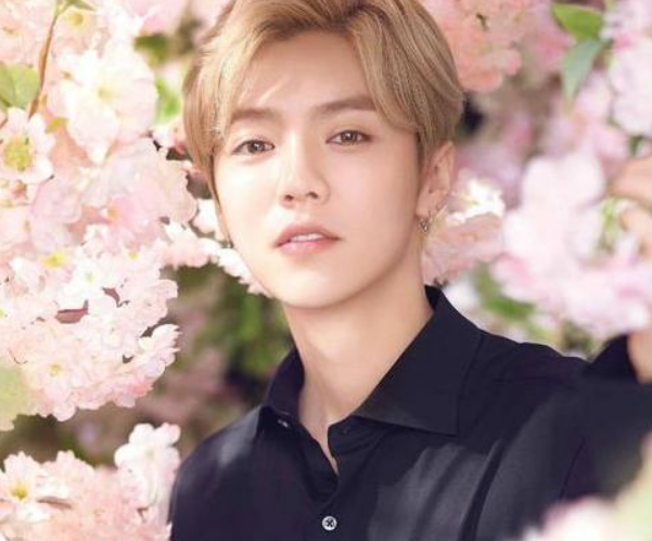 央视|导演不经允许晒关晓彤朋友圈，第一条动态文案亮了，反映与鹿晗感情现状